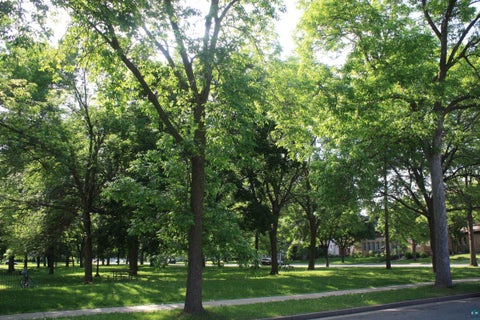Tiny photo for 415 3rd Ave, Eau Claire, WI 54703 (MLS # 6128424)