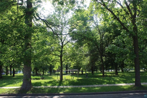 Tiny photo for 415 3rd Ave, Eau Claire, WI 54703 (MLS # 6128424)