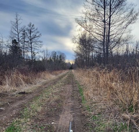 Tiny photo for 6100 Herranen Rd, Cromwell, MN 55726 (MLS # 6123173)