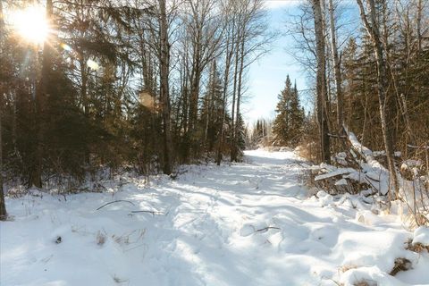 Tiny photo for 6100 Herranen Rd, Cromwell, MN 55726 (MLS # 6123173)