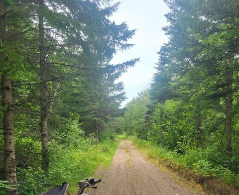 Tiny photo for 6100 Herranen Rd, Cromwell, MN 55726 (MLS # 6123173)