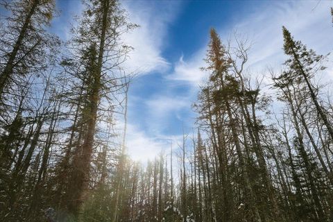 Tiny photo for 6100 Herranen Rd, Cromwell, MN 55726 (MLS # 6123173)