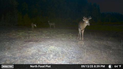 Tiny photo for 6100 Herranen Rd, Cromwell, MN 55726 (MLS # 6123173)