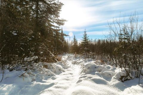 Tiny photo for 6100 Herranen Rd, Cromwell, MN 55726 (MLS # 6123173)