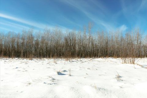 Tiny photo for 6100 Herranen Rd, Cromwell, MN 55726 (MLS # 6123173)