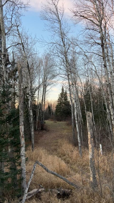 Tiny photo for 6100 Herranen Rd, Cromwell, MN 55726 (MLS # 6123173)