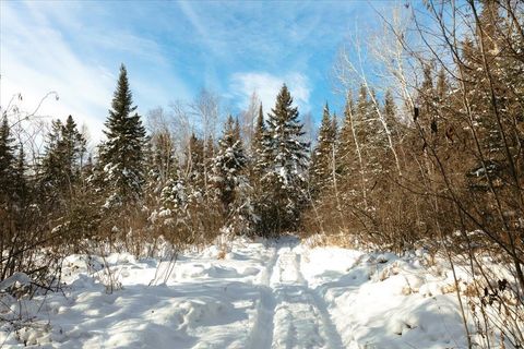 Tiny photo for 6100 Herranen Rd, Cromwell, MN 55726 (MLS # 6123173)