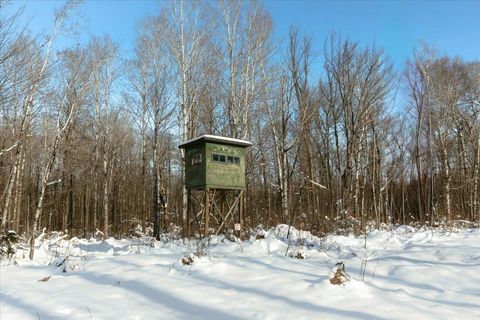 Tiny photo for 6100 Herranen Rd, Cromwell, MN 55726 (MLS # 6123173)