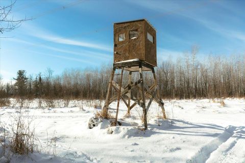 Tiny photo for 6100 Herranen Rd, Cromwell, MN 55726 (MLS # 6123173)