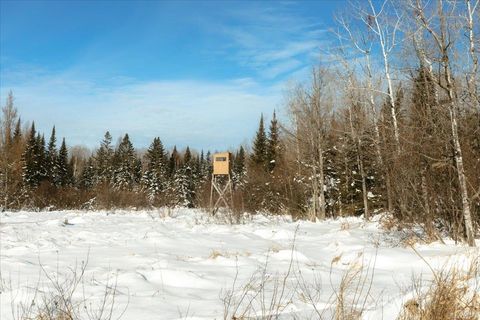 Tiny photo for 6100 Herranen Rd, Cromwell, MN 55726 (MLS # 6123173)