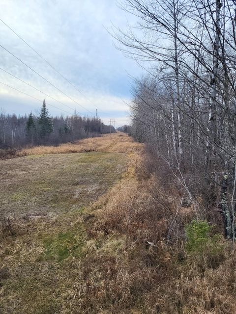 Tiny photo for 6100 Herranen Rd, Cromwell, MN 55726 (MLS # 6123173)