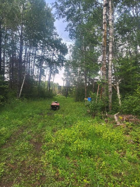 Tiny photo for 6100 Herranen Rd, Cromwell, MN 55726 (MLS # 6123173)