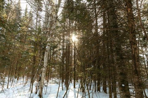 Tiny photo for 6100 Herranen Rd, Cromwell, MN 55726 (MLS # 6123173)