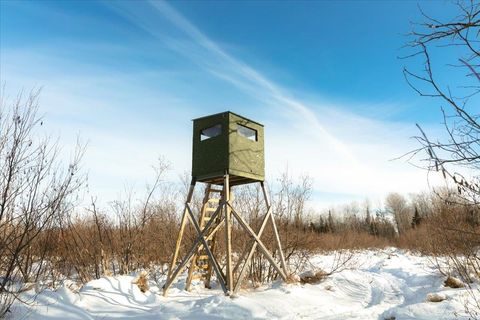 Tiny photo for 6100 Herranen Rd, Cromwell, MN 55726 (MLS # 6123173)