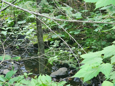 Tiny photo for 8 Devil Point Rd, Grand Marais, MN 55604 (MLS # 6127222)