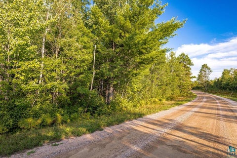 Tiny photo for TBD Crane Lake Rd, Orr, MN 55771 (MLS # 6128145)