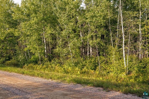 Tiny photo for TBD Crane Lake Rd, Orr, MN 55771 (MLS # 6128145)
