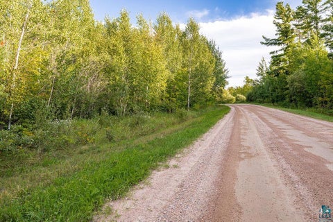 Tiny photo for TBD Crane Lake Rd, Orr, MN 55771 (MLS # 6128145)