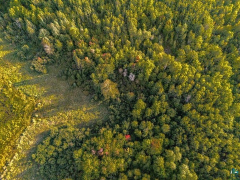 Tiny photo for TBD Crane Lake Rd, Orr, MN 55771 (MLS # 6128145)