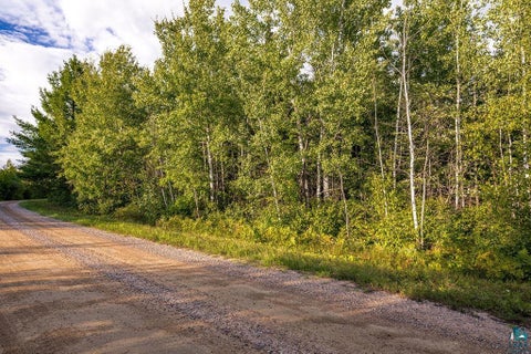 Tiny photo for TBD Crane Lake Rd, Orr, MN 55771 (MLS # 6128145)
