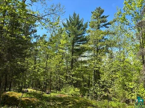 Tiny photo for 5049 Big Lake Rd, Ely, MN 55731 (MLS # 6125723)