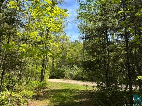 Tiny photo for 5049 Big Lake Rd, Ely, MN 55731 (MLS # 6125723)