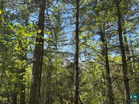 Tiny photo for 5049 Big Lake Rd, Ely, MN 55731 (MLS # 6125723)