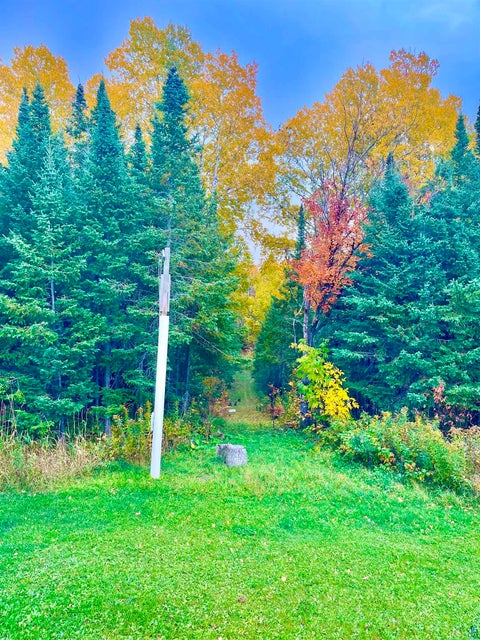 Tiny photo for 10037 E Gustafson Rd, Poplar, WI 54864 (MLS # 6128445)