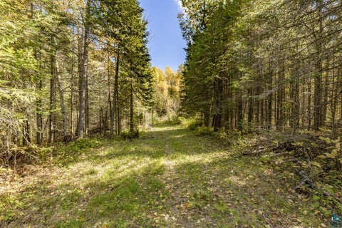 Tiny photo for 10037 E Gustafson Rd, Poplar, WI 54864 (MLS # 6128445)