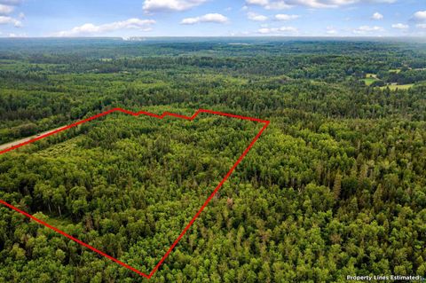 Tiny photo for 240 Thomson Rd, Esko, MN 55733 (MLS # 6126448)