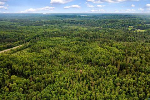 Tiny photo for 240 Thomson Rd, Esko, MN 55733 (MLS # 6126448)