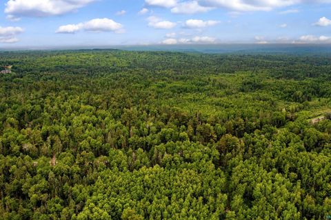 Tiny photo for 240 Thomson Rd, Esko, MN 55733 (MLS # 6126448)