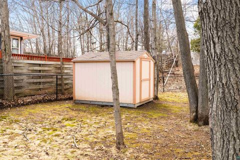 Tiny photo for 330 E Faribault St, Duluth, MN 55803 (MLS # 6124959)
