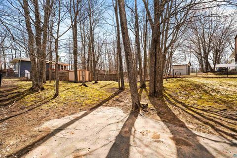 Tiny photo for 330 E Faribault St, Duluth, MN 55803 (MLS # 6124959)