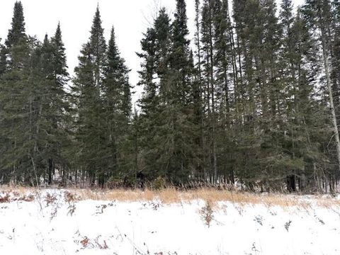 Tiny photo for TBD Arkola Rd, Cotton, MN 55724 (MLS # 6123093)