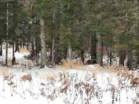 Tiny photo for TBD Arkola Rd, Cotton, MN 55724 (MLS # 6123093)