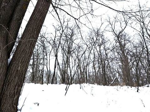 Tiny photo for TBD Arkola Rd, Cotton, MN 55724 (MLS # 6123093)