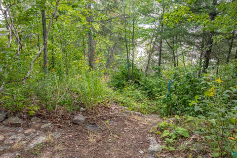 Tiny photo for 13412 Bear Paw Tr, Ely, MN 55731 (MLS # 6127414)