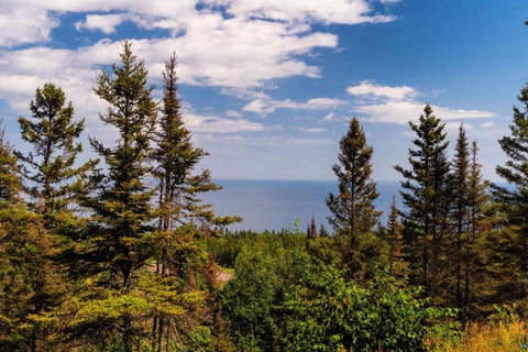 Photo of 5731 Illgen Pines Rd, Silver Bay, MN 55614 (MLS # 6127824)