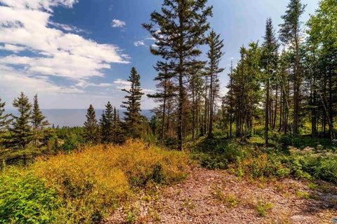 Tiny photo for 5731 Illgen Pines Rd, Silver Bay, MN 55614 (MLS # 6127824)