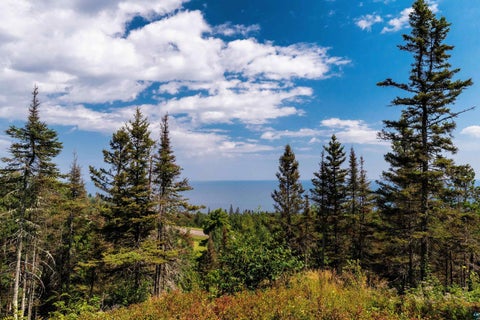 Tiny photo for 5731 Illgen Pines Rd, Silver Bay, MN 55614 (MLS # 6127824)