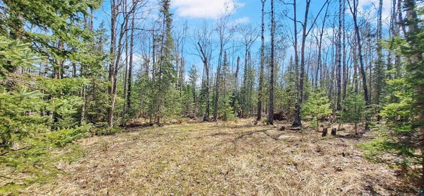 MONDAMIN TRL, LA POINTE, WI 54850 - Image 3d4af7ebc66ca2d92ed7c087e301dd37/2642228098