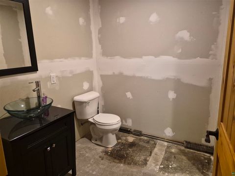 Tiny photo for 1424 E 6th St, Superior, MN 54880 (MLS # 6125602)
