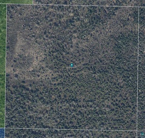 Tiny photo for TBD Cloquet Lake Rd, Finland, MN 55603 (MLS # 6124996)