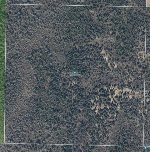 Tiny photo for TBD Cloquet Lake Rd, Finland, MN 55603 (MLS # 6124996)