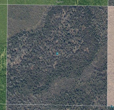 Tiny photo for TBD Cloquet Lake Rd, Finland, MN 55603 (MLS # 6124996)