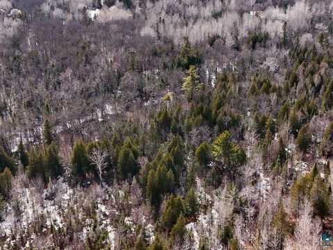 Tiny photo for 59 Jean Duluth Rd, Duluth, MN 55803 (MLS # 6124907)