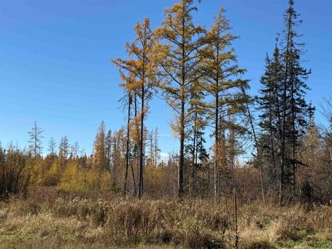 Tiny photo for 10650 W Toivola Rd, Toivola, MN 55765 (MLS # 6122672)