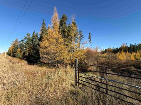 Tiny photo for 10650 W Toivola Rd, Toivola, MN 55765 (MLS # 6122672)
