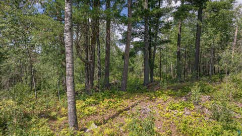 Tiny photo for 1583 Jewel Ridge Rd, Ely, MN 55731 (MLS # 6127341)